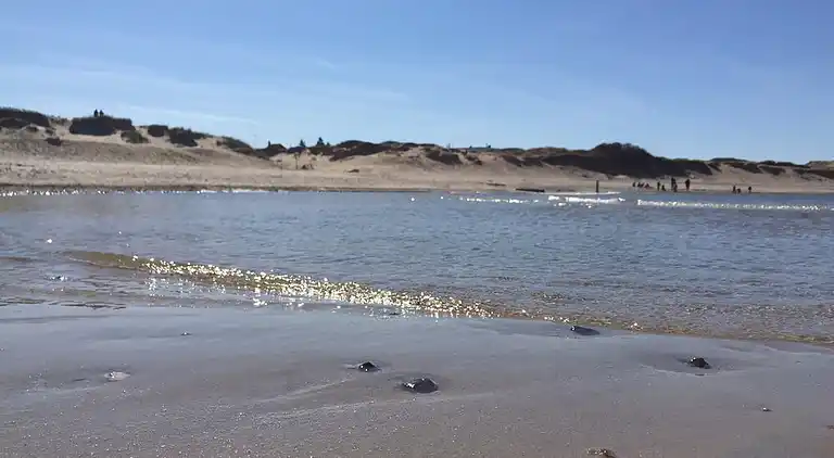 Sommarhus i Asserbo med pool och aktivitetsrum