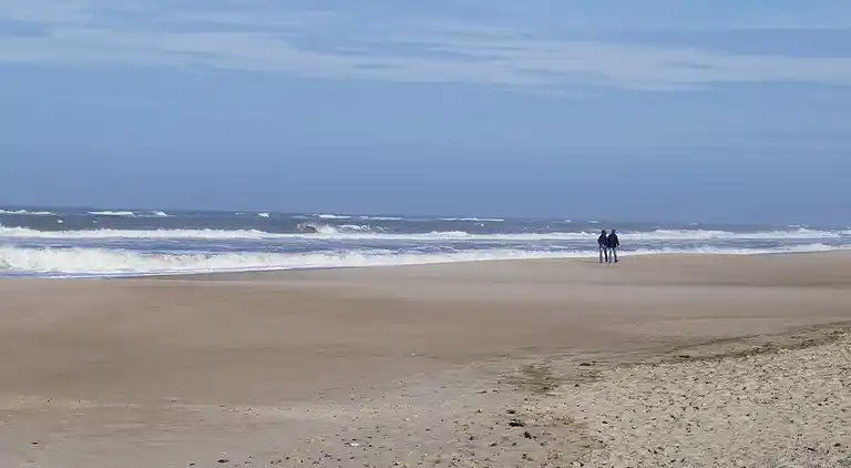 Luxus-Ferienhaus an der Nordsee - für 18