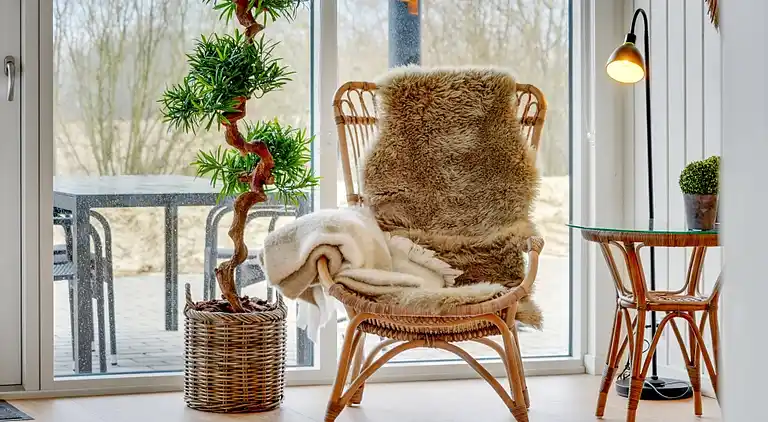 Ferienhaus in Mommark für 18 mit Pool