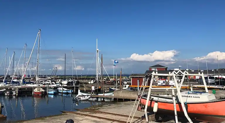 Luxuriöses Poolhaus mit Spa & Aktivitäten