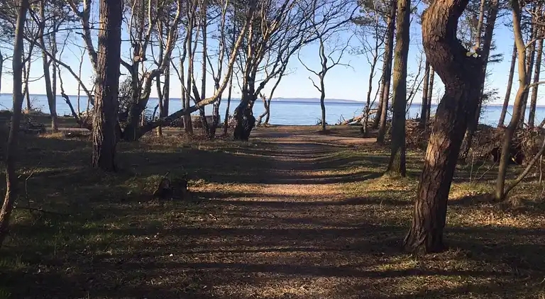 Luxuriöses Poolhaus mit Spa & Aktivitäten