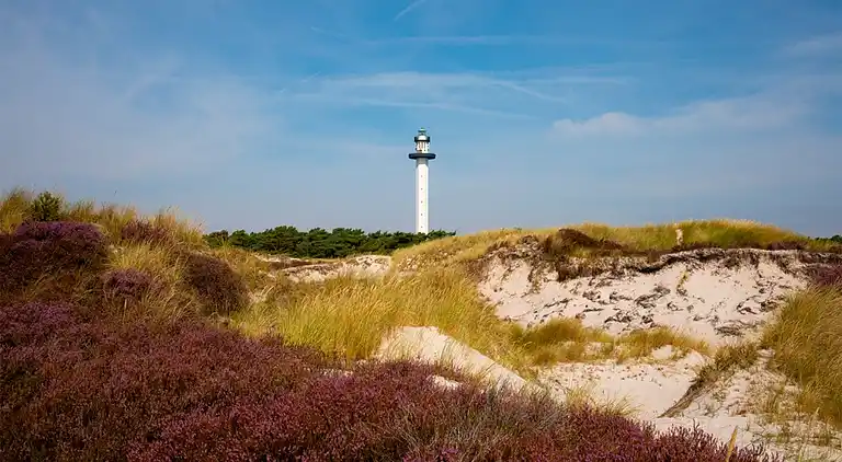 Luxus-Ferienhaus für 18 in Dueodde - Pool & Spa