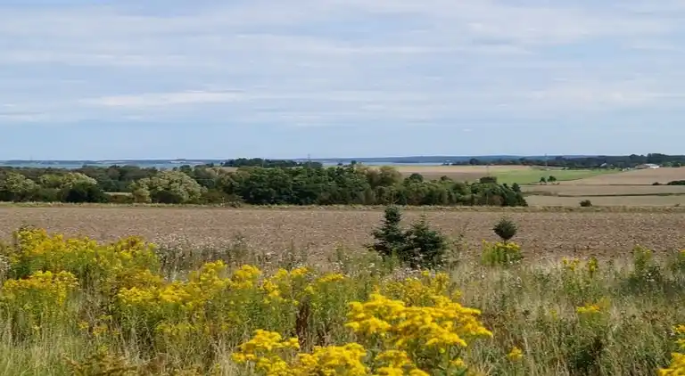 Modernes Ferienhaus bei Rågeleje mit Pool