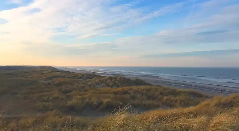 Großes Ferienhaus bei Vejers Strand mit Pool