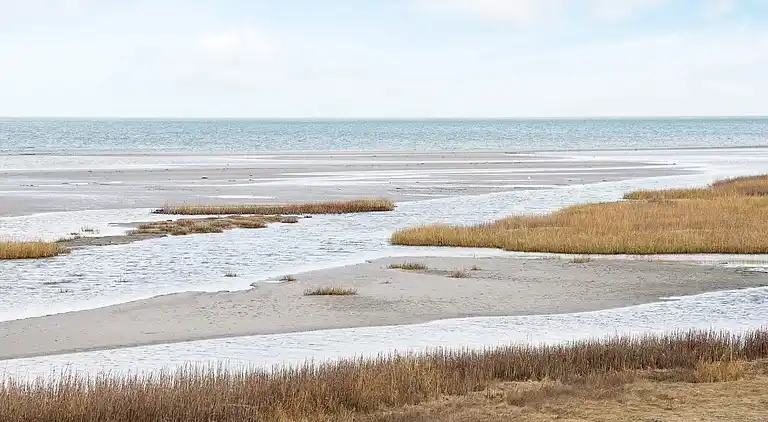 Luxusferienhaus mit Pool, Spa und Terrasse