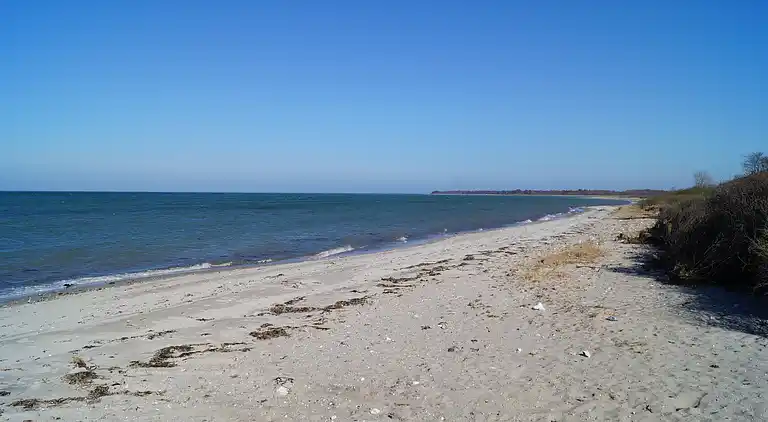 Luxus-Poolhaus für 20 auf Fyn