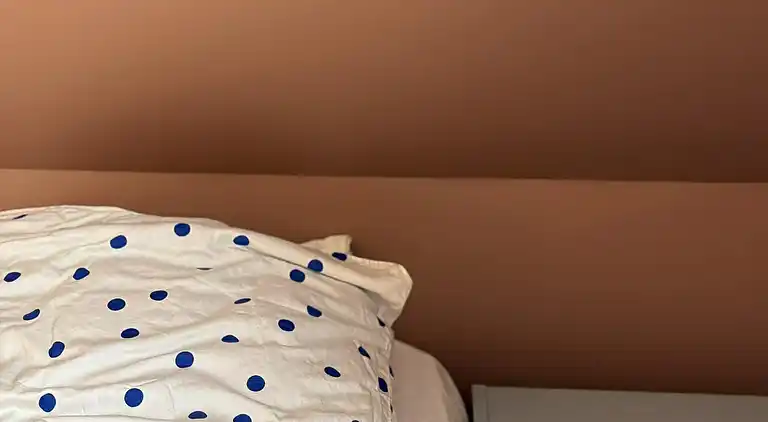 Nyrenoveret og med udsigt over Sandvig og havet