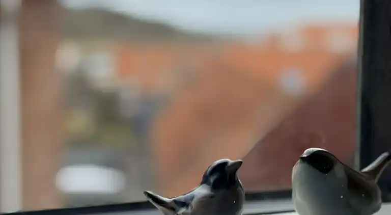 Nyrenoveret og med udsigt over Sandvig og havet