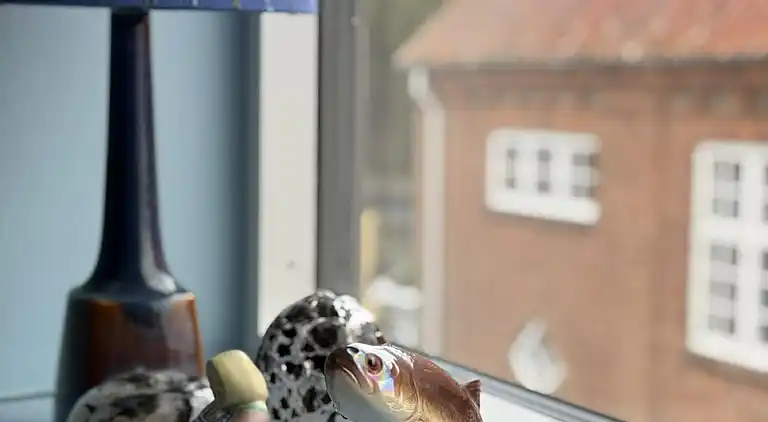 Nyrenoveret og med udsigt over Sandvig og havet