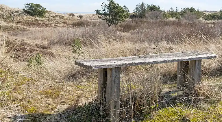 Geräumiges Ferienhaus 150 m vom Strand