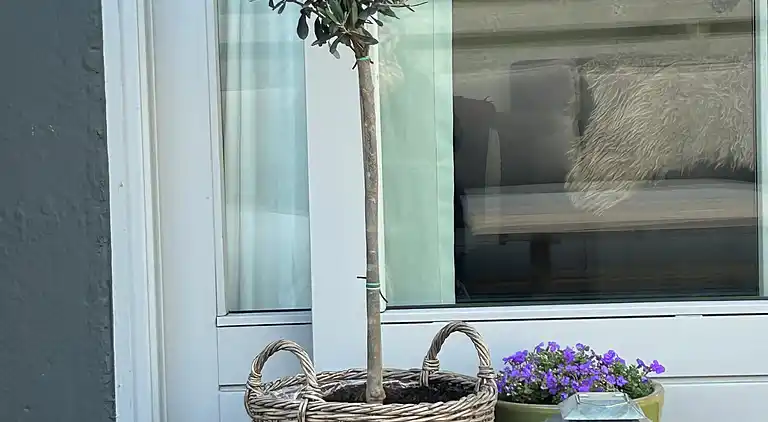 Schönes Ferienhaus nahe schönem Badestrand