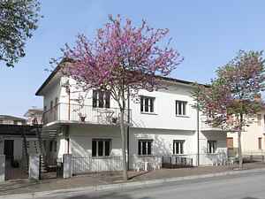 Bright three guests flat in Lignano