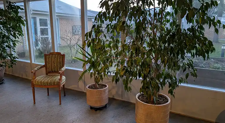Rimsøhus - et sted - mange muligheder