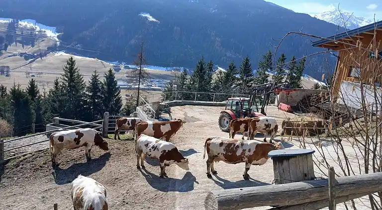 Apartment in Mittersill