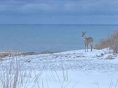 Klitbakkevej 23, Lønstrup