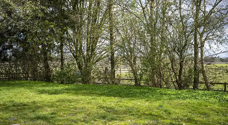 Vakantiehuis in Schoonoord