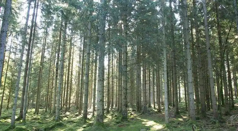 Et fantastisk flot hus