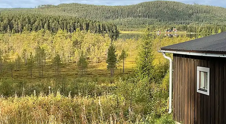 Dejligt fredeligt hus!