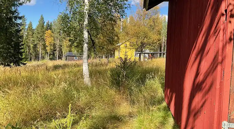 Dejligt fredeligt hus!