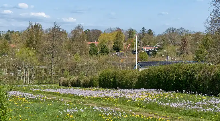 Charmerende feriehus tæt på stranden