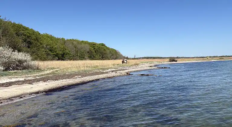 Skønt, ugeneret sommerhus nær strand