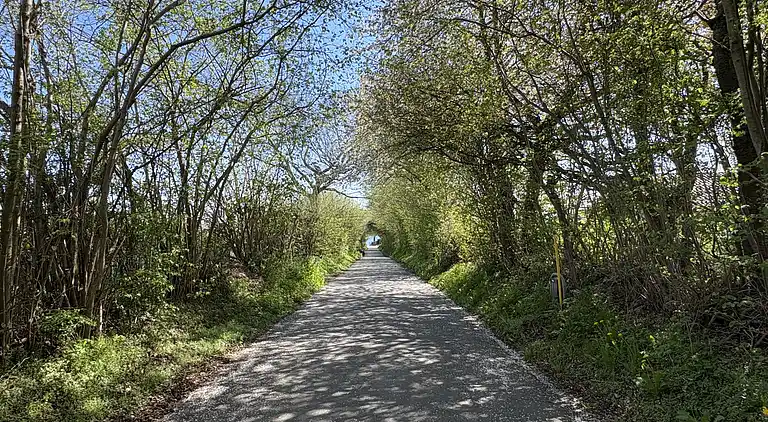 Skønt, ugeneret sommerhus nær strand