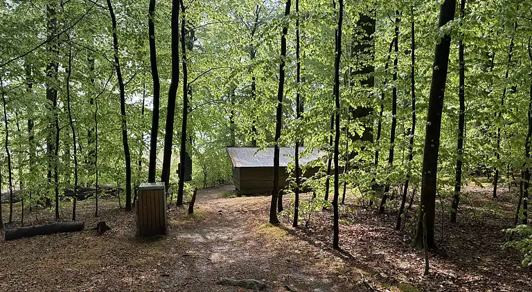 Skønt, ugeneret sommerhus nær strand