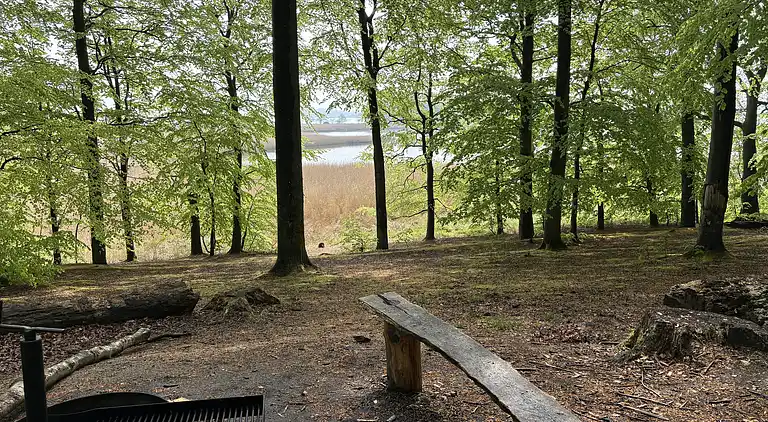 Skønt, ugeneret sommerhus nær strand