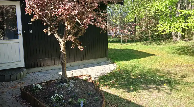 Dejligt sommerhus med super beliggenhed