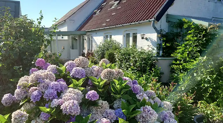 Cozy fisherman's house near the sea