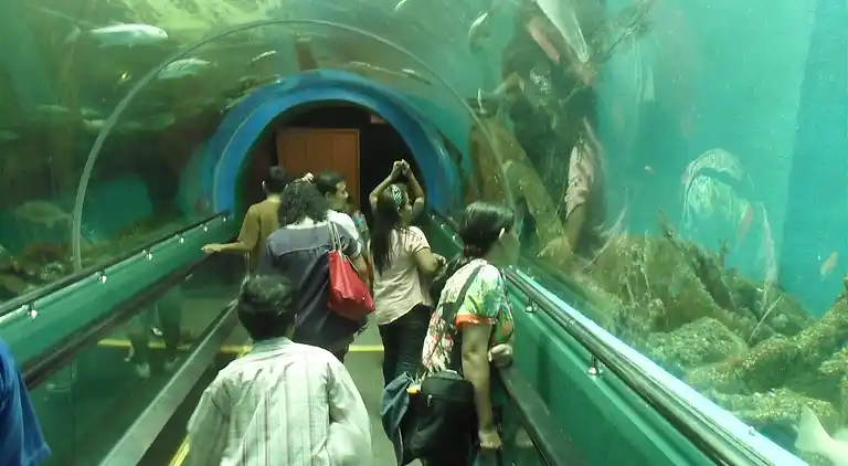 Luxury familyhouse 7 - 9 beds close to beach