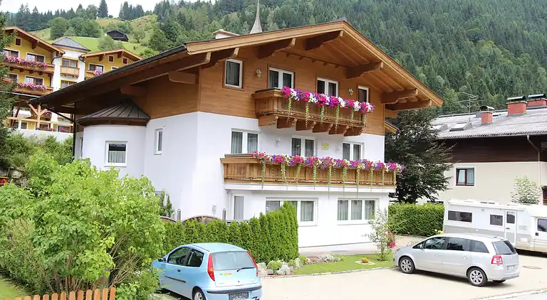 Apartment in Viehhofen