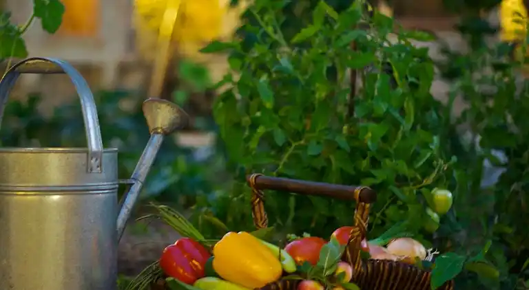 Luxurious Privately Stone Villa with Pool!