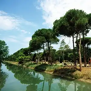 Elegante appartamento in villa vicinissimo al mare