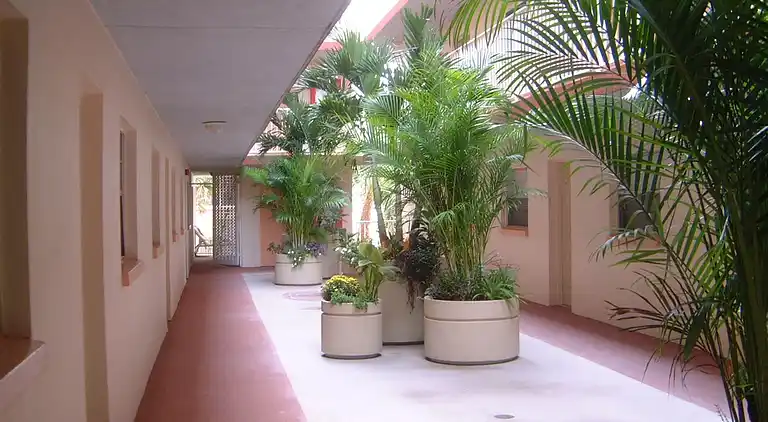 My Indian Shores Family Condo