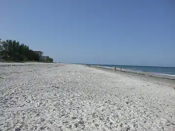 My Indian Shores Family Condo