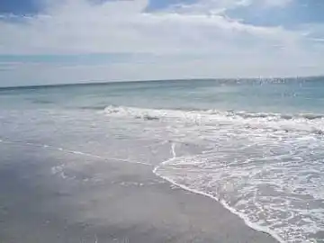 My Indian Shores Family Condo